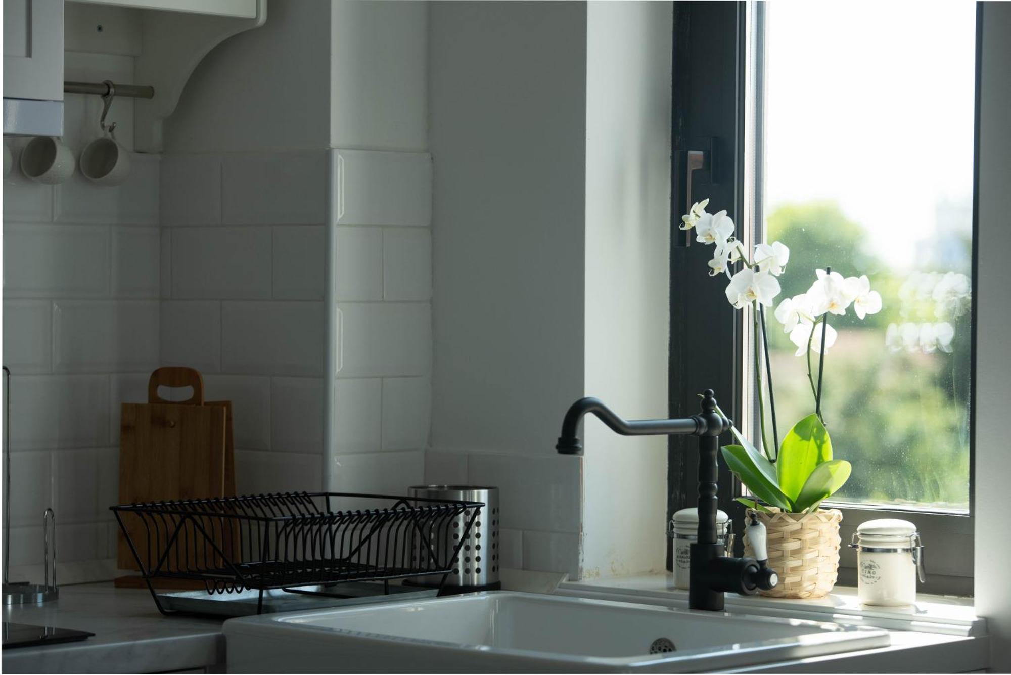 Benvenuti Apartments Belgrad Zewnętrze zdjęcie